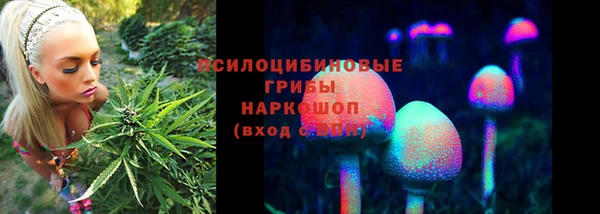 а пвп мука Дмитровск
