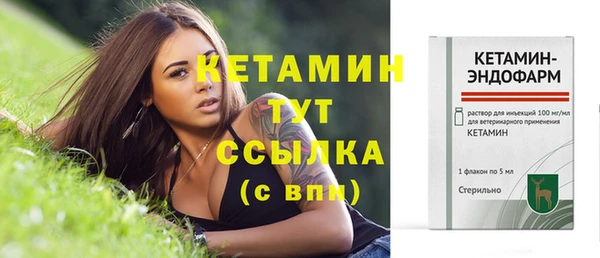 гашик Дмитриев