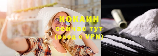 гашик Дмитриев