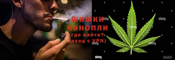 гашик Дмитриев