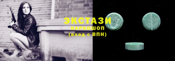 гашик Дмитриев