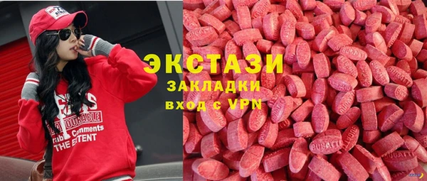 гашик Дмитриев