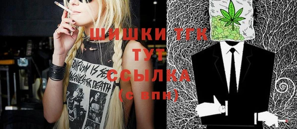 гашик Дмитриев