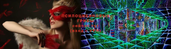 а пвп мука Дмитровск
